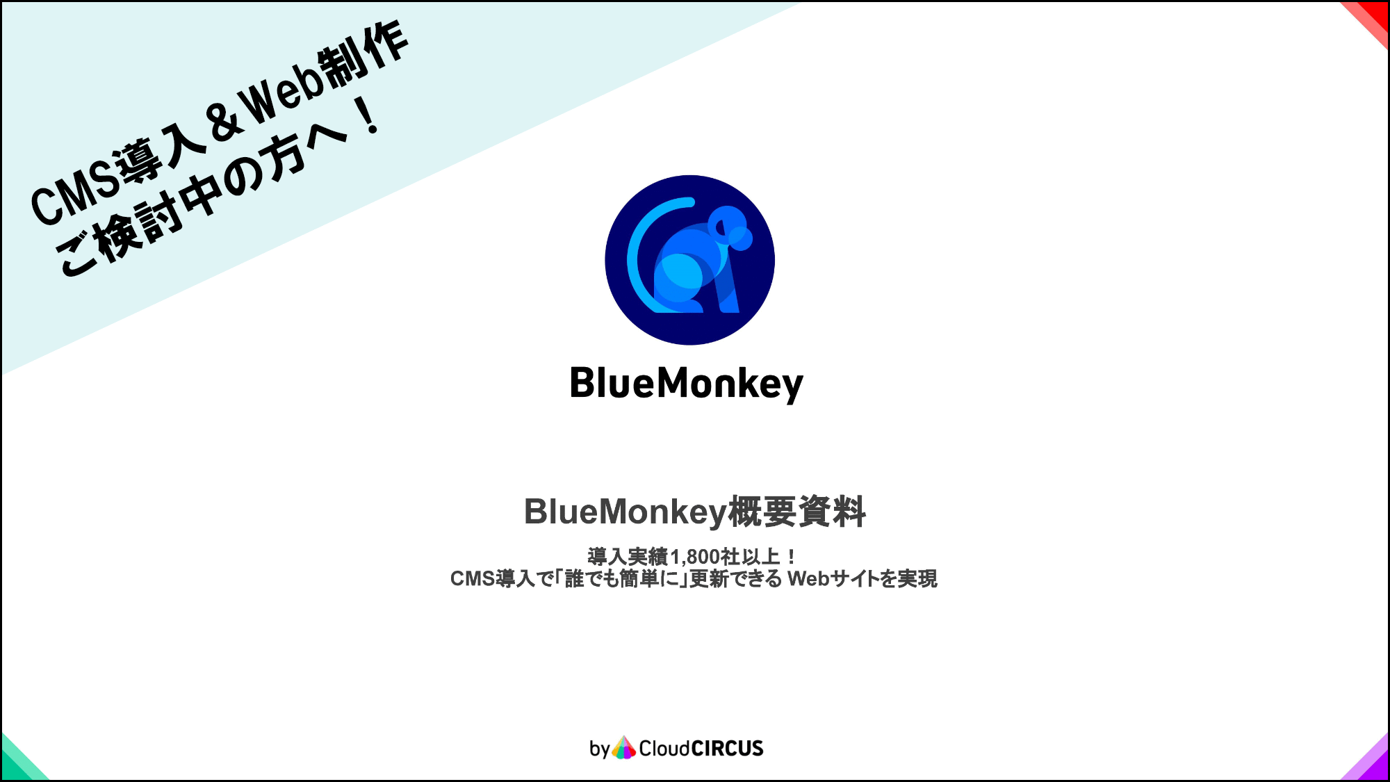 BlueMonkey 概要資料