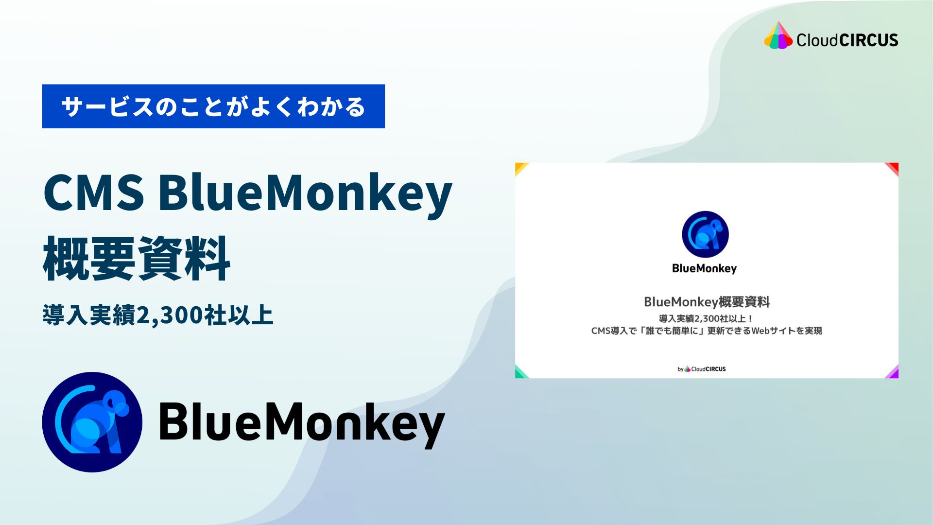 BlueMonkeyの概要資料をダウンロードできます。