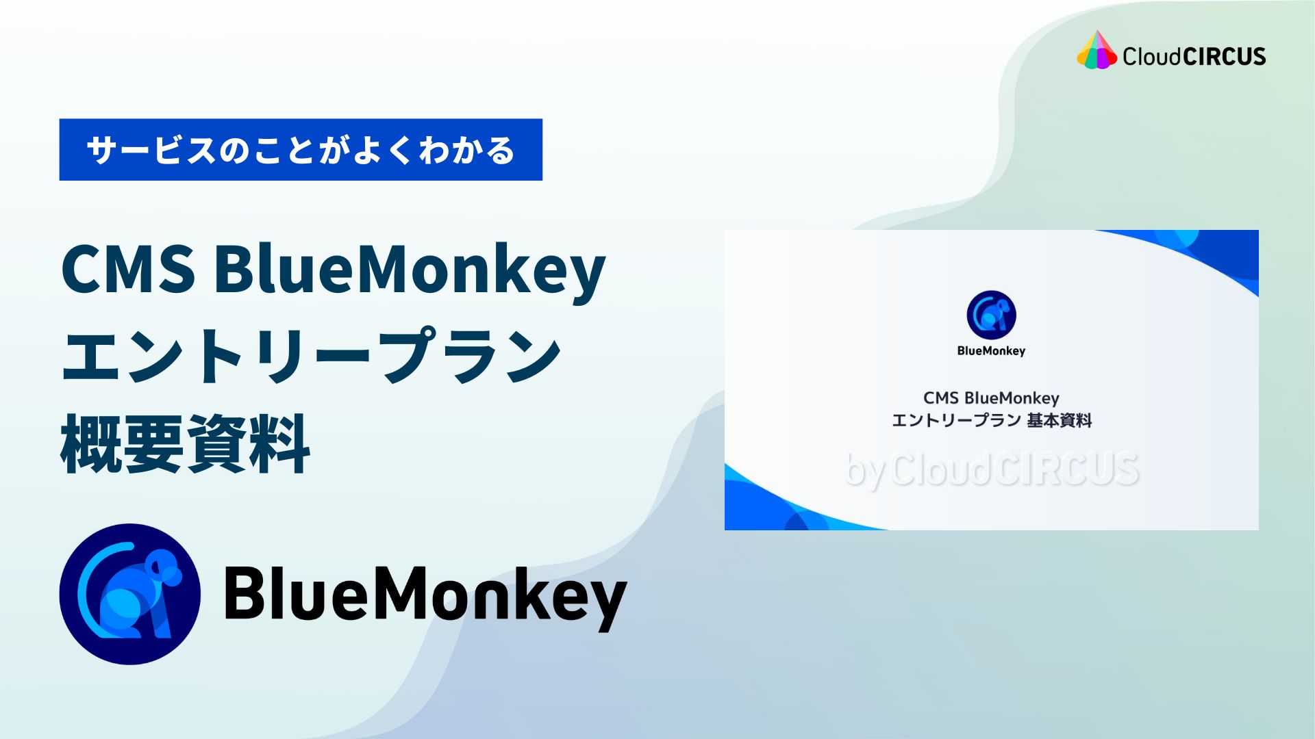 BlueMonkey エントリープラン概要資料