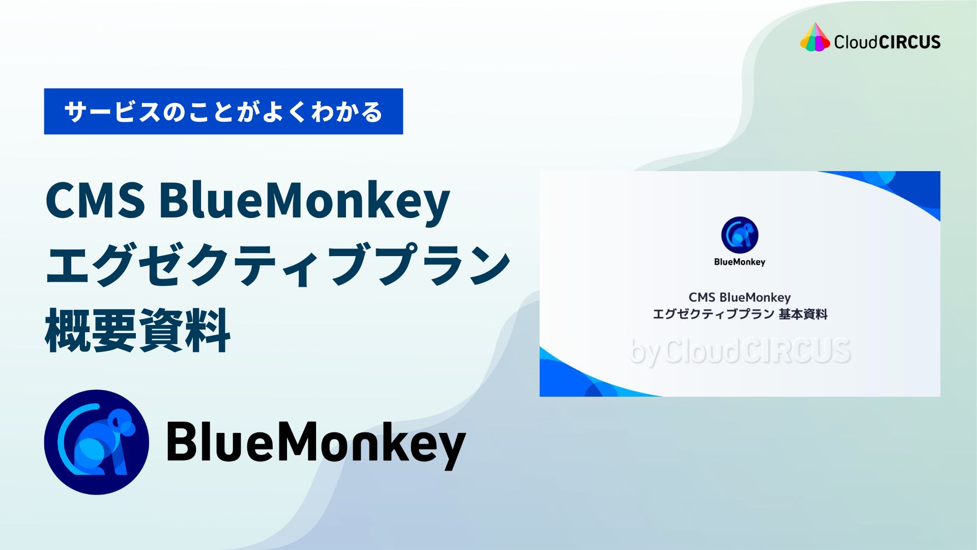 CMS BlueMonkey エグゼクティブ基本資料